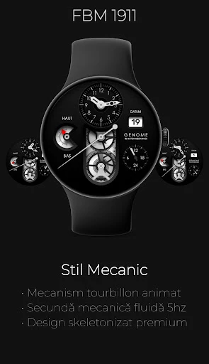 Captură pe telefon FBM 1911: Cadran Ceas Mecanic 1