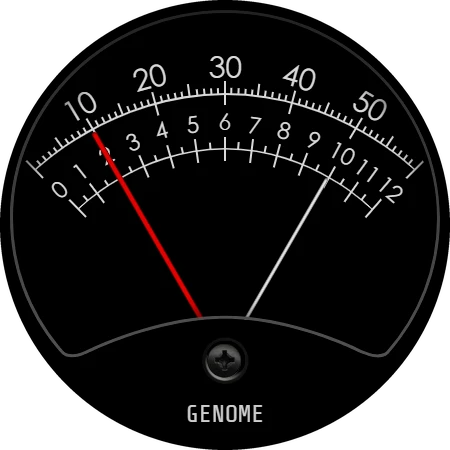 GEL: Retro Industrial Gauge wear screenshot 4